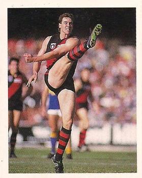 1993 Select AFL Stickers #91 Paul Salmon Front
